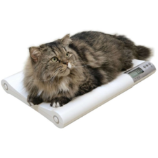Cat Weigh Scales 0-20kg
